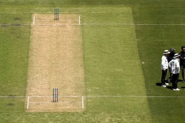 Different kinds of pitches in cricket
